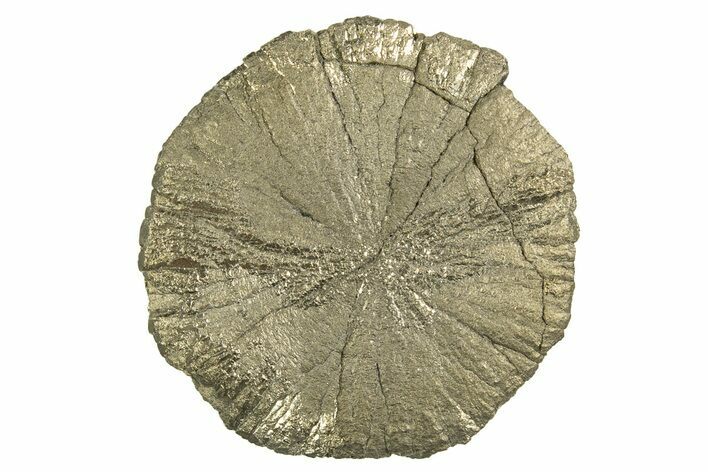 Radiant Pyrite Sun - Sparta, Illinois #342551